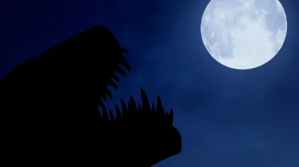 propagation-stage-2-05